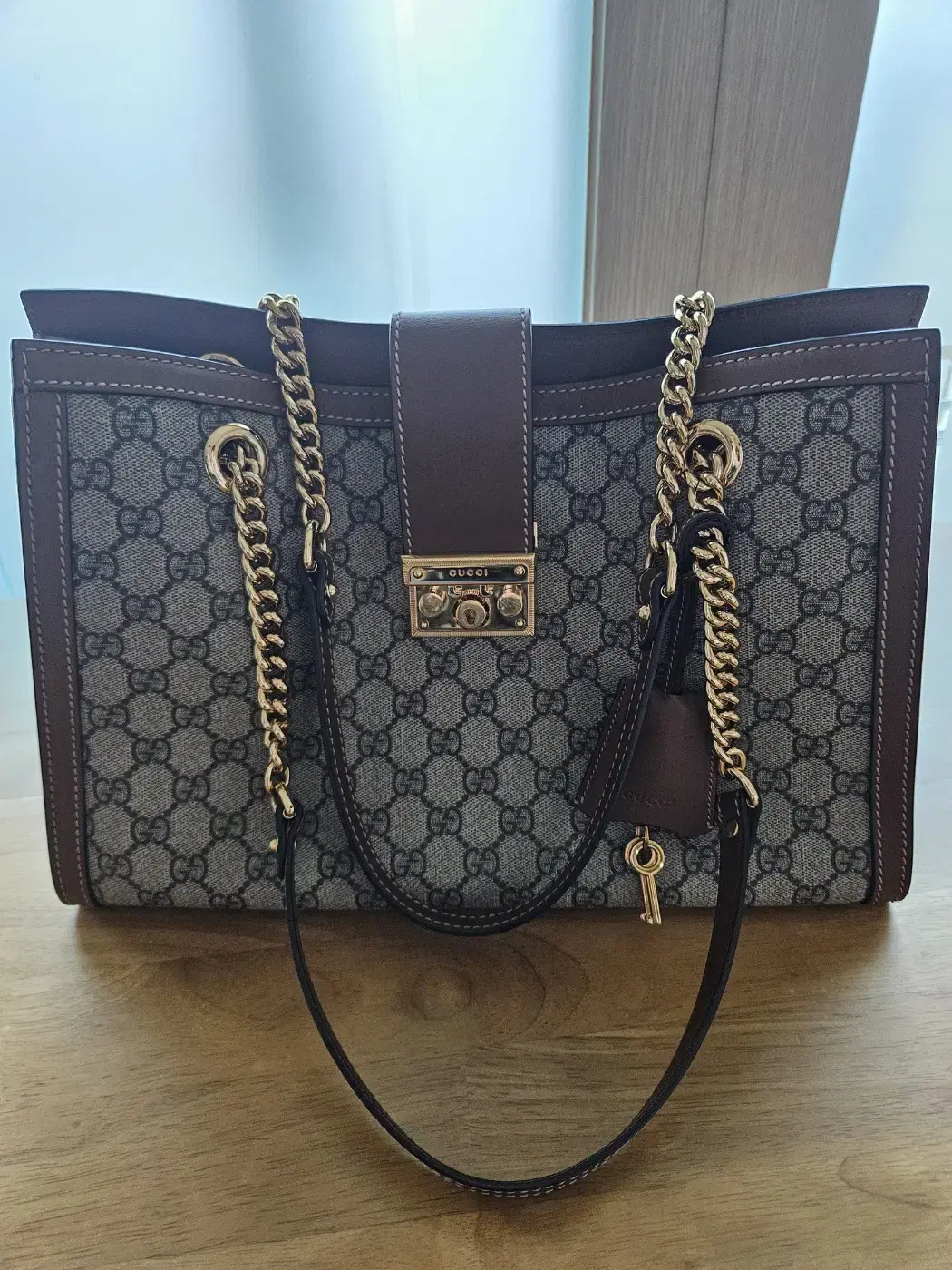 Gucci Paddlelock Medium