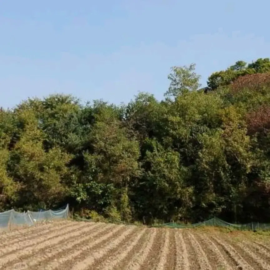 용인시 처인구 토지