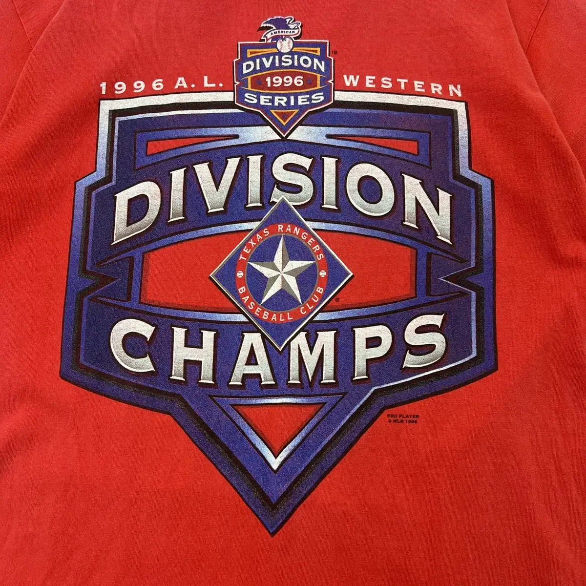 1990s USA Division champs 반팔티