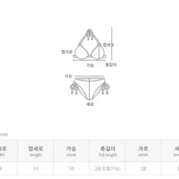 비키니 오렌지 M