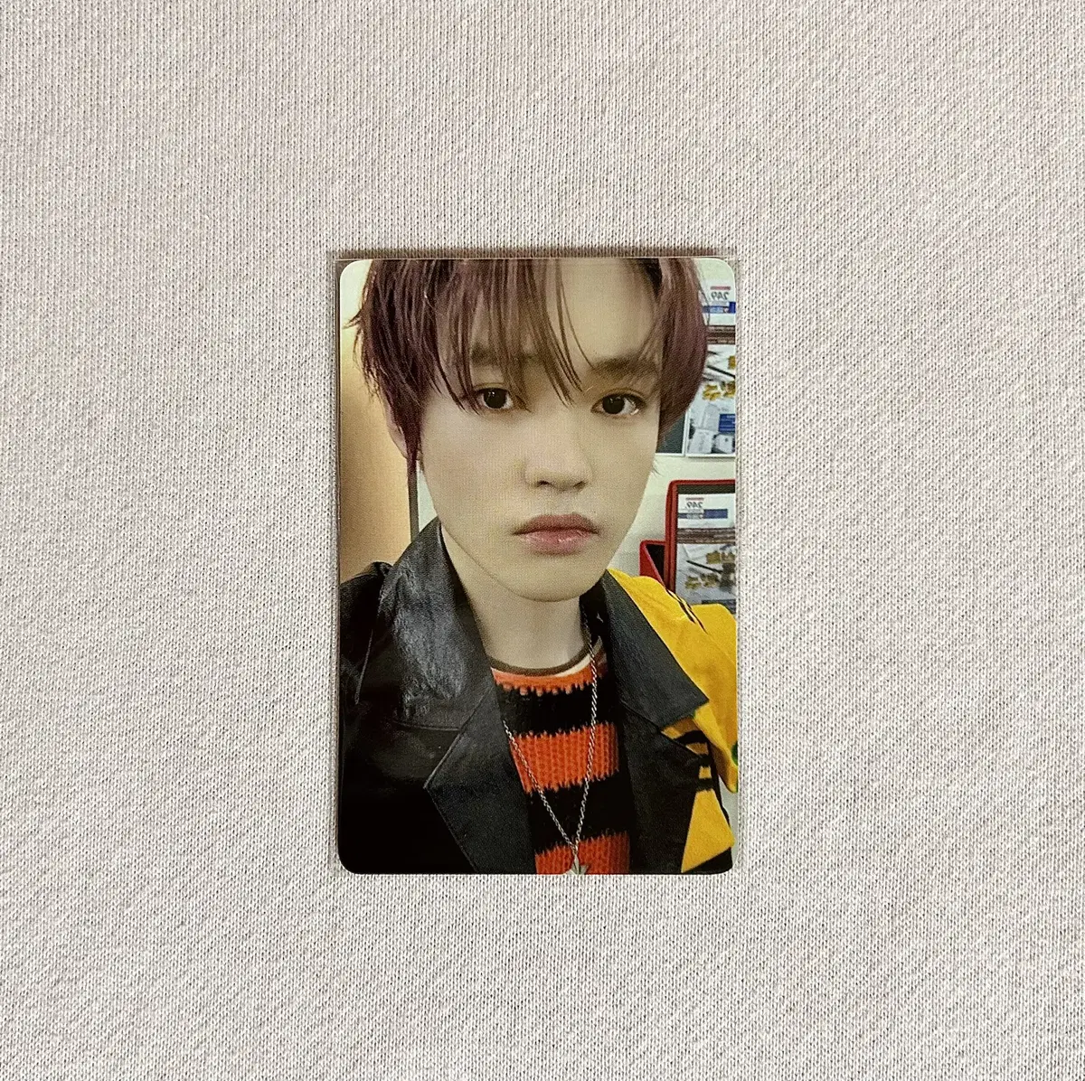 NCT Dream ISTJ chenle with muu Offline Pansy unreleased photocard