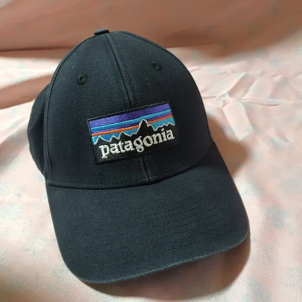 파타고니아 Patagonia 로고 스냅백.스냅 확인