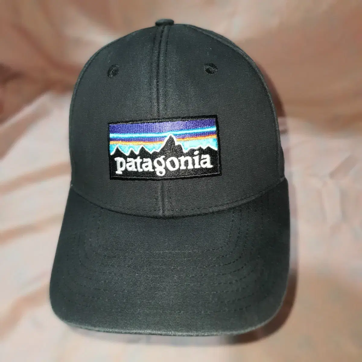 파타고니아 Patagonia 로고 스냅백.스냅 확인