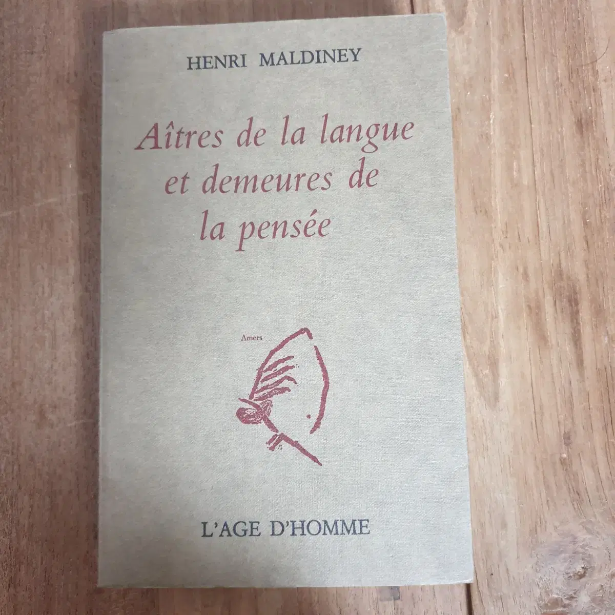 Henri Maldiney 앙리 말디네 예술 책