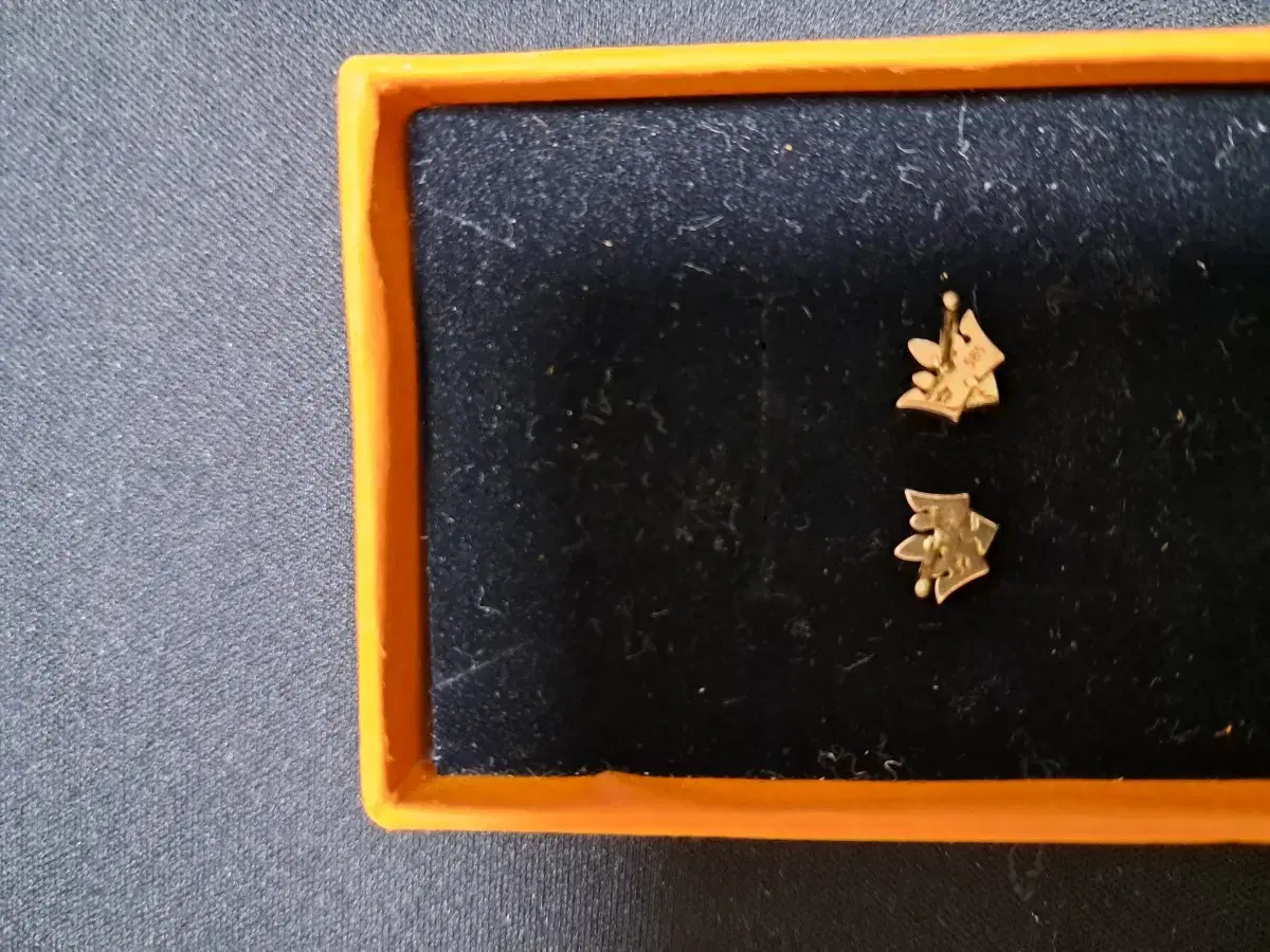 Jayeastina 14K Earrings