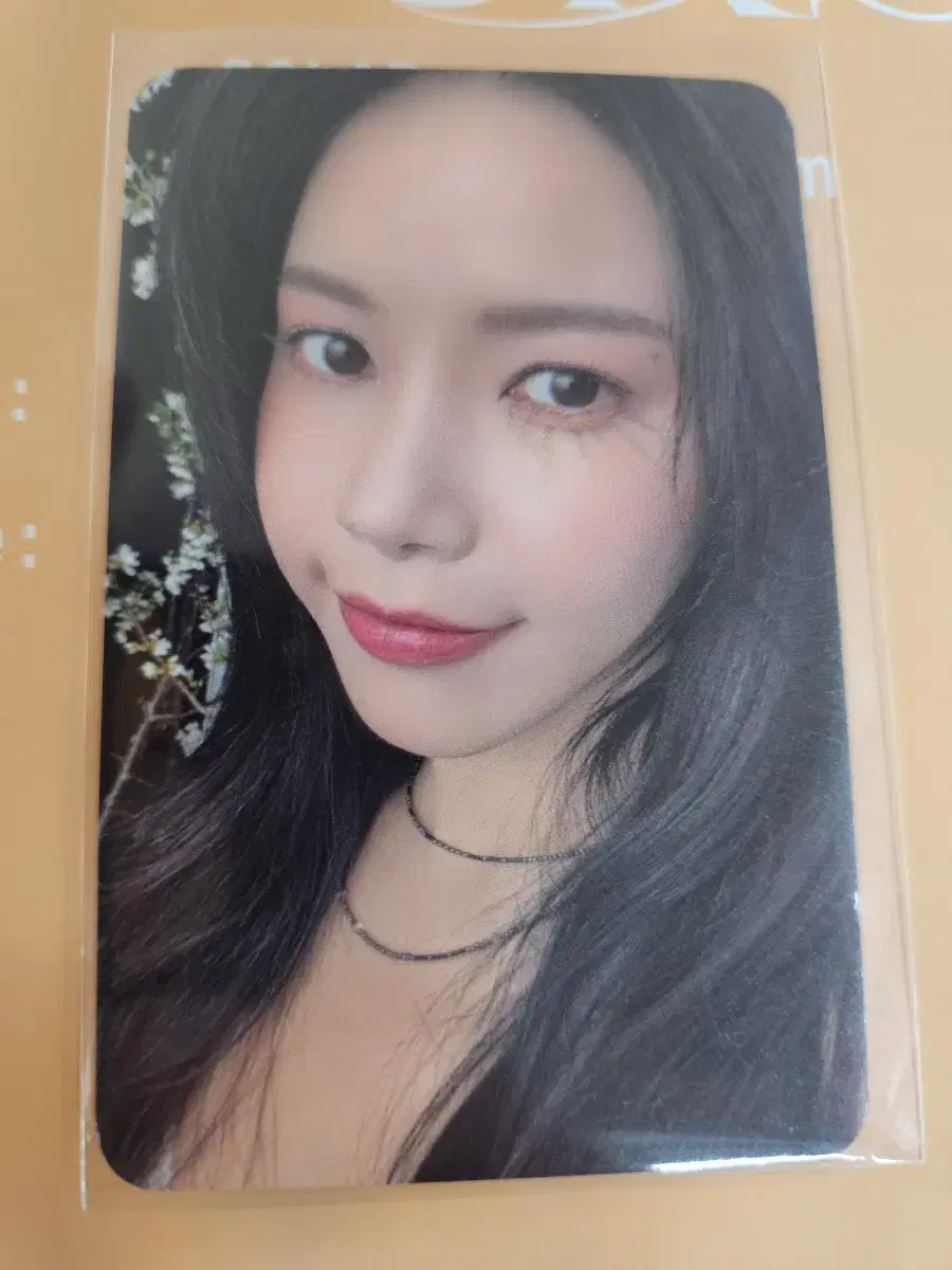 Mamamoo solar kim yongsun broadcast photocard WTS