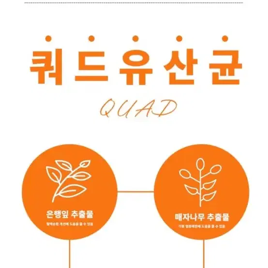 라비앙독 기억프리 7Free 강아지 사료푸드, 스몰브리드 어덜트, 3kg