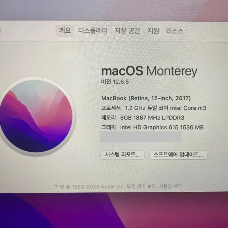 뉴맥북 2017 A1534 / 12인치  8GB, SSD256