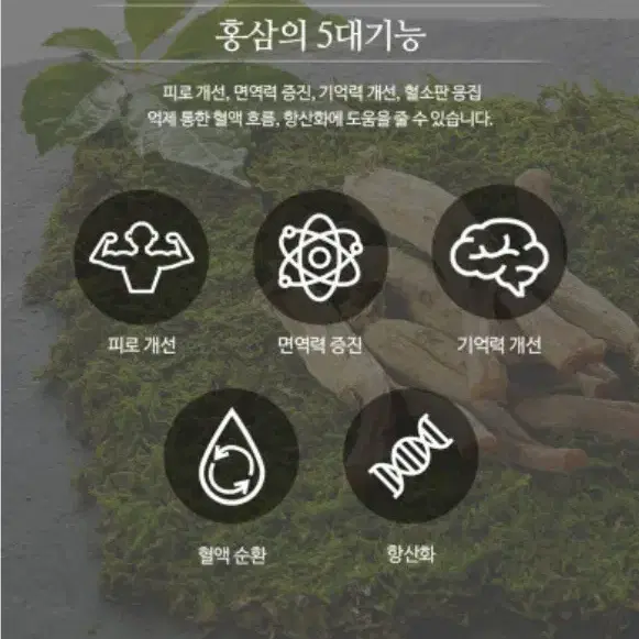 정관장] 홍삼보윤정1P세트(홍삼보윤정 100g * 1병 + 홍삼캔디수)