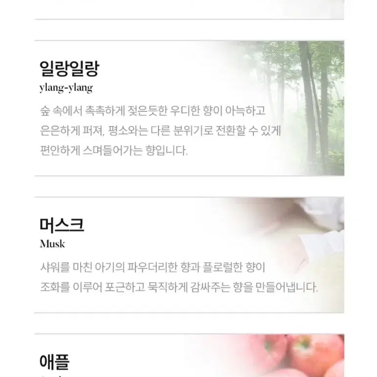 <새제품>11가지향 차량용 디퓨져 방향제 리필세트