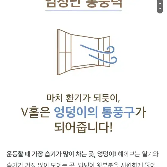 헤이브 세모스타팬티