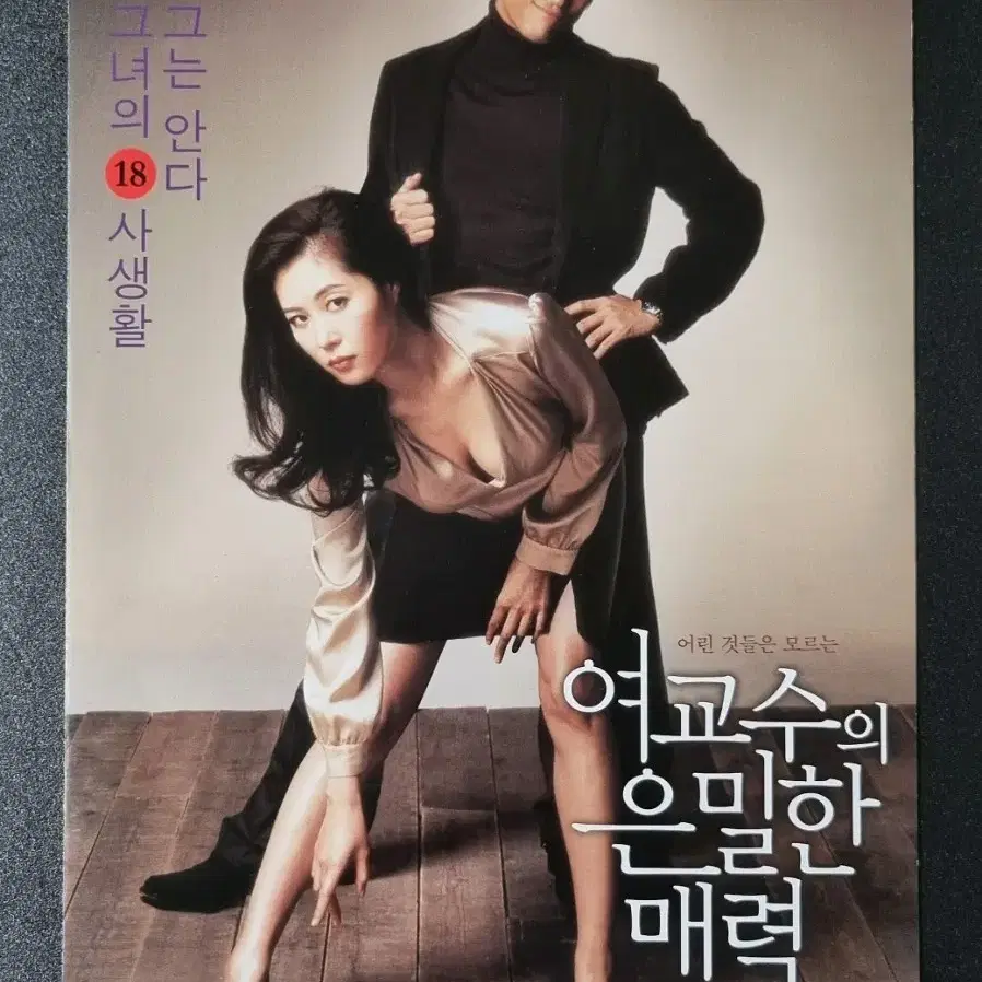 [영화팜플렛] 여교수의은밀한매력 2단 (2006)문소리 지진희 영화전단지