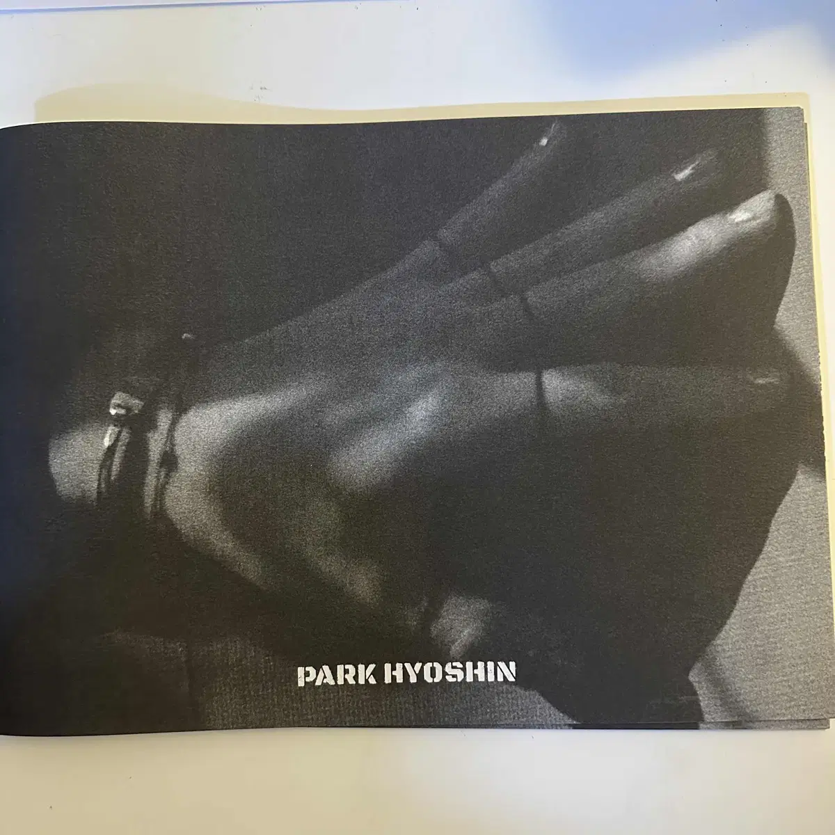 Dey'd Appendix Park Hyo Shin Photo Book