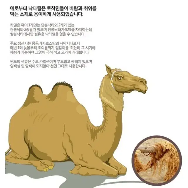 낙타이불여름봄사계절용폐업처분땡처리