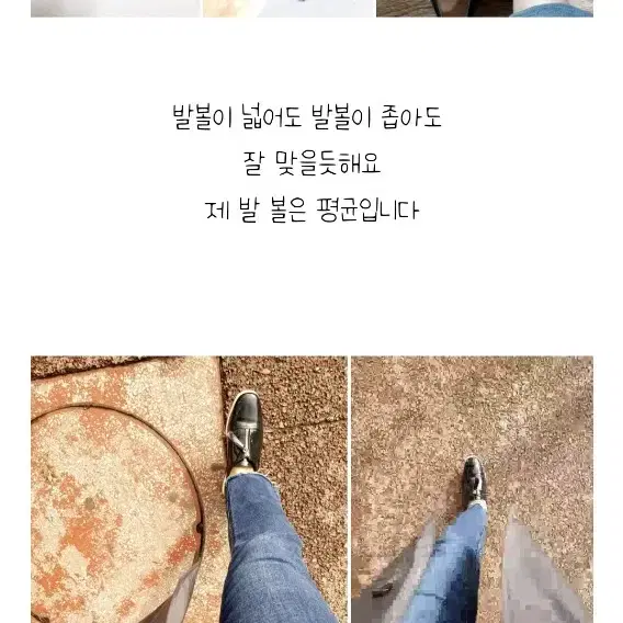 비제바노 어버이날 선물 240