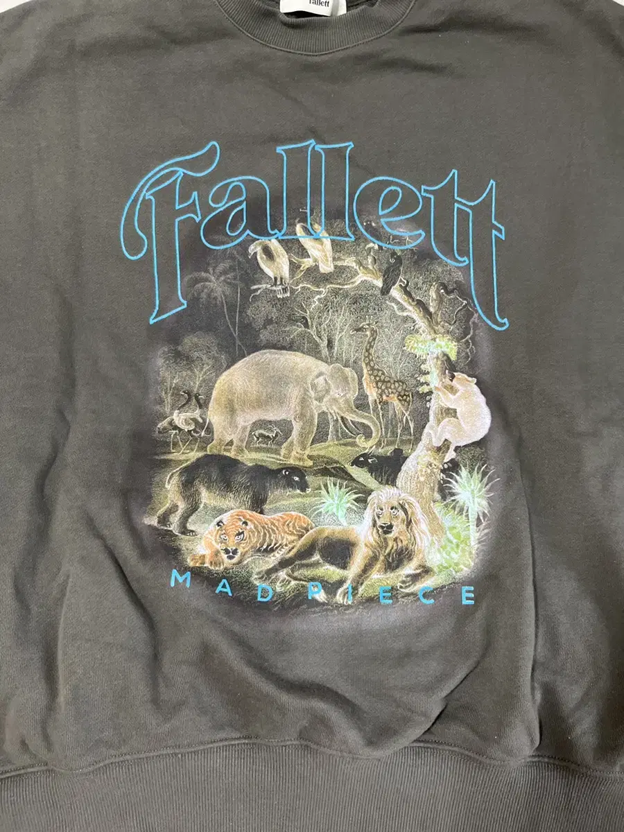 Pallet Serengeti Barefoot Charcoal Size L Sells