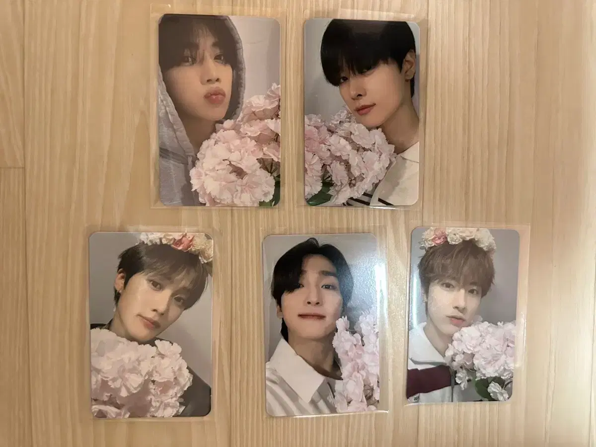 The Boyz Nectar unreleased photocard cherry blossomver