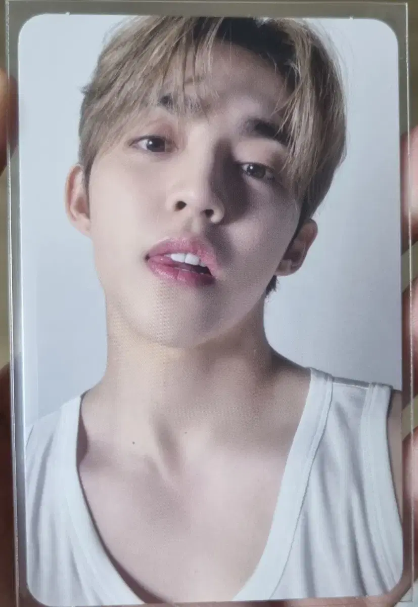 세븐틴 베스트앨범 캐럿반 에스쿱스 포토카드