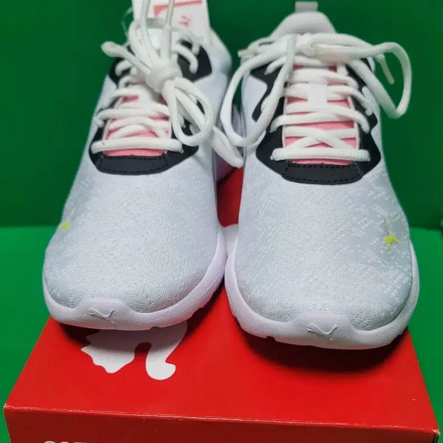 푸마 여성용 런닝화 올데이 엑티브 인 모션 PUMA SOFTFOAM