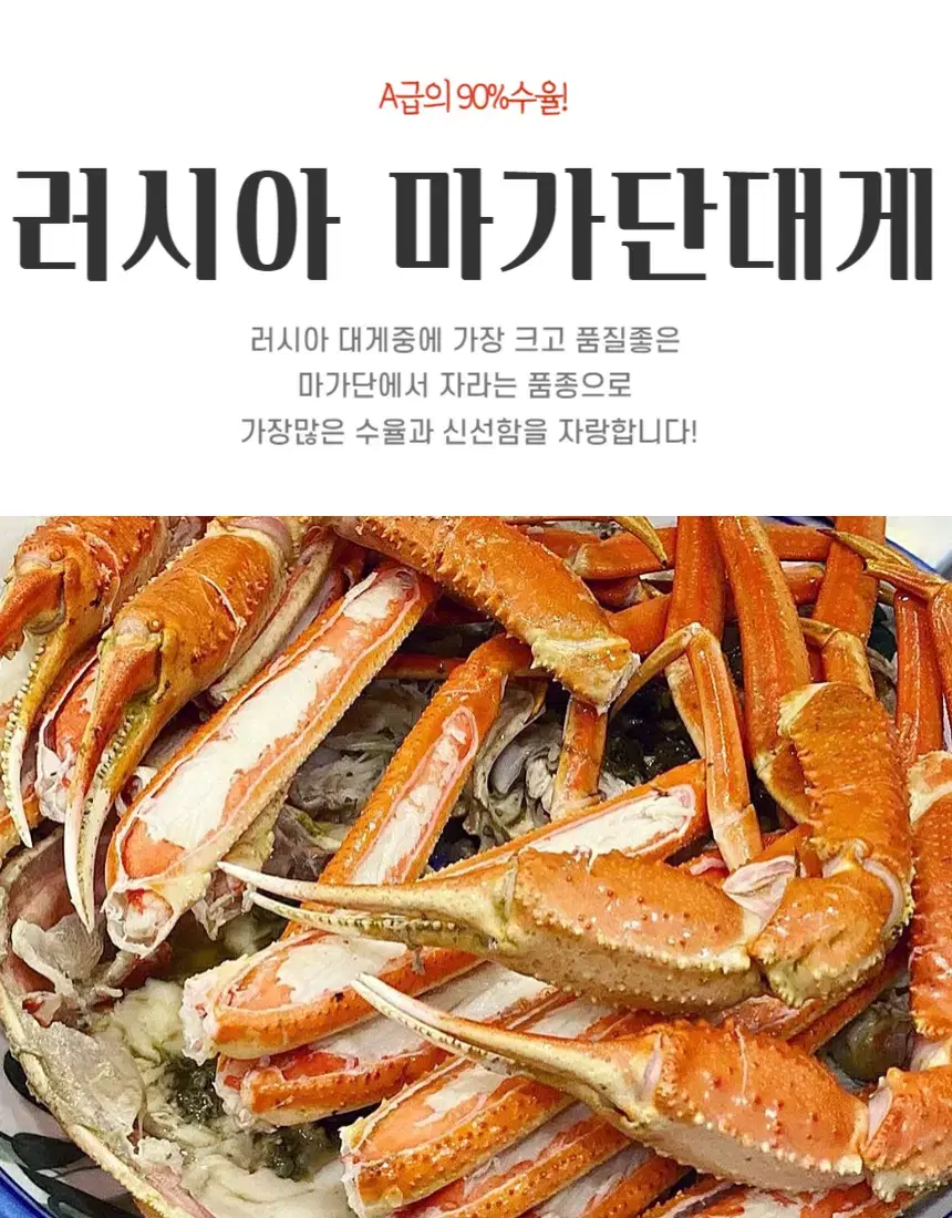 마가단대게 러시아 3kg / 2~3미 / 수율 80%내외