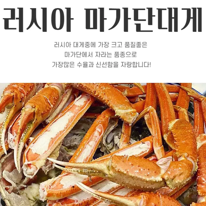 마가단대게 러시아 3kg / 2~3미 / 수율 80%내외