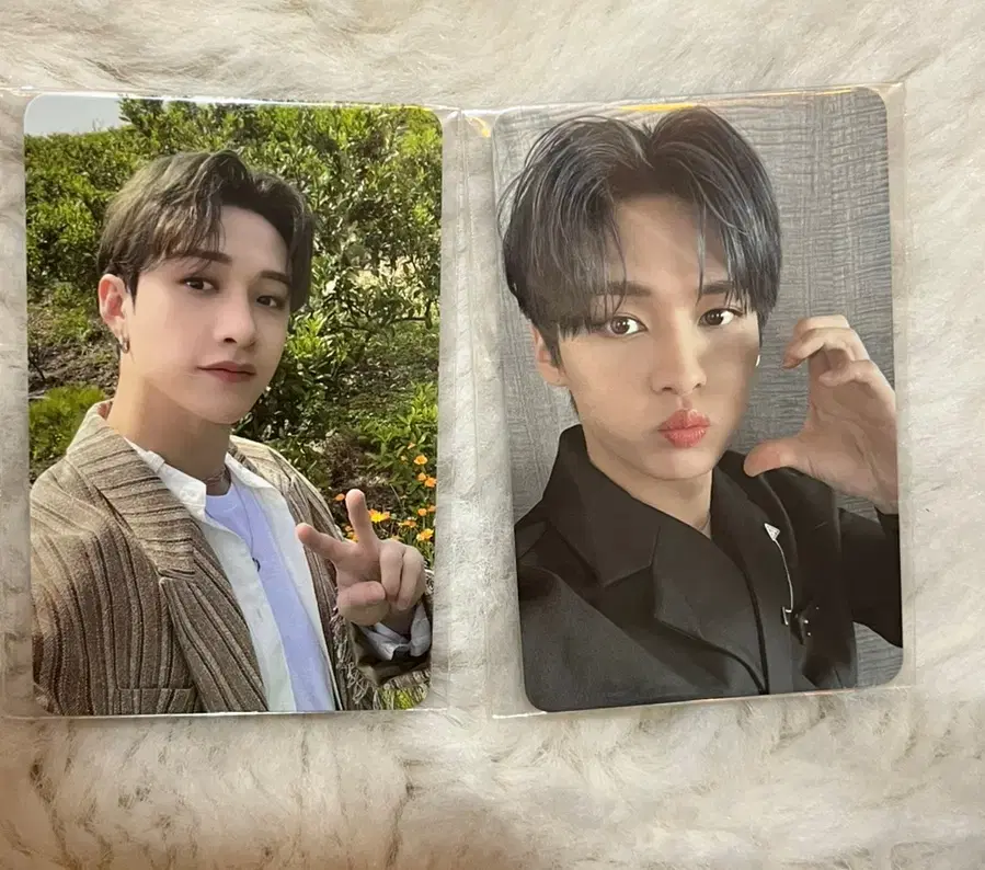 Skz Jeju pre-order benefit lee know bang chan Photocard