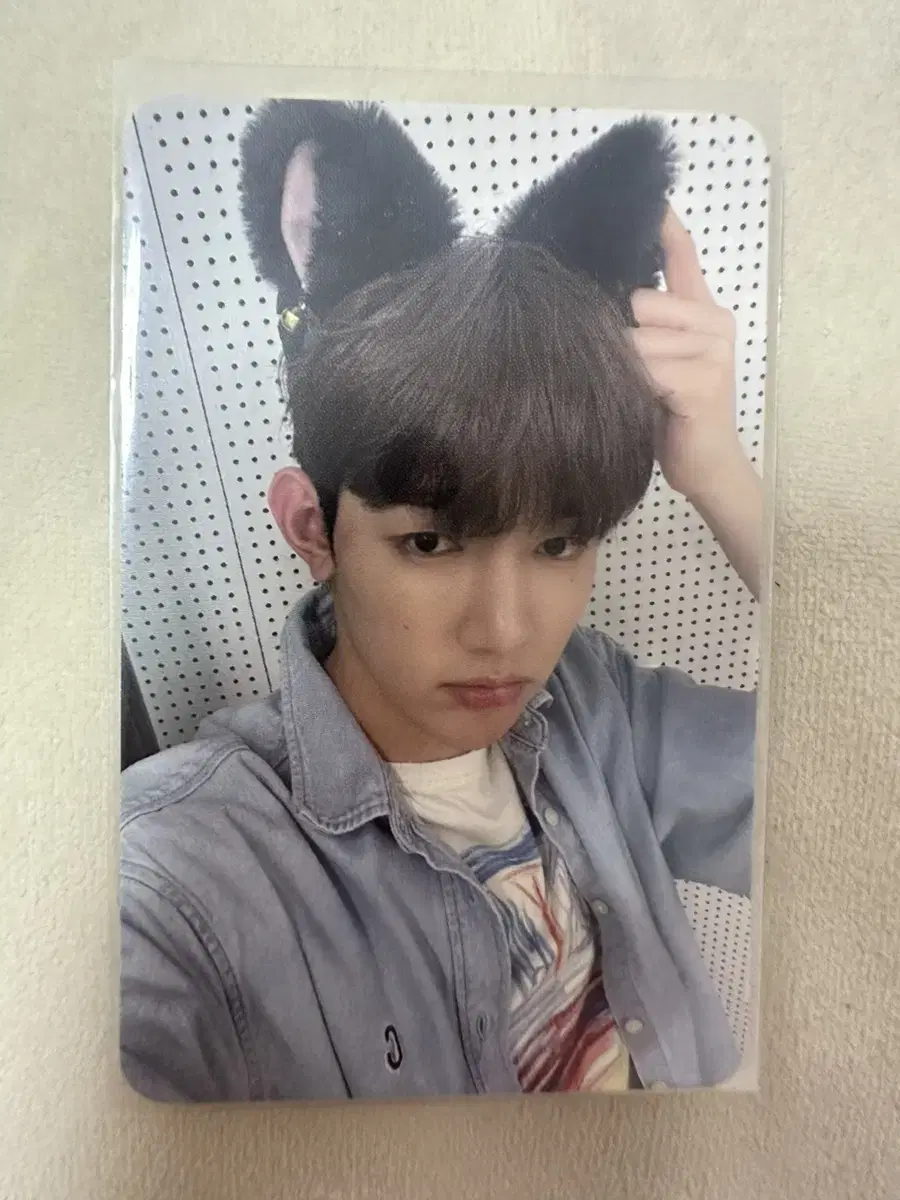 zb1 zerobaseone zhang hao cat photocard inbloom makestar unreleased photocard