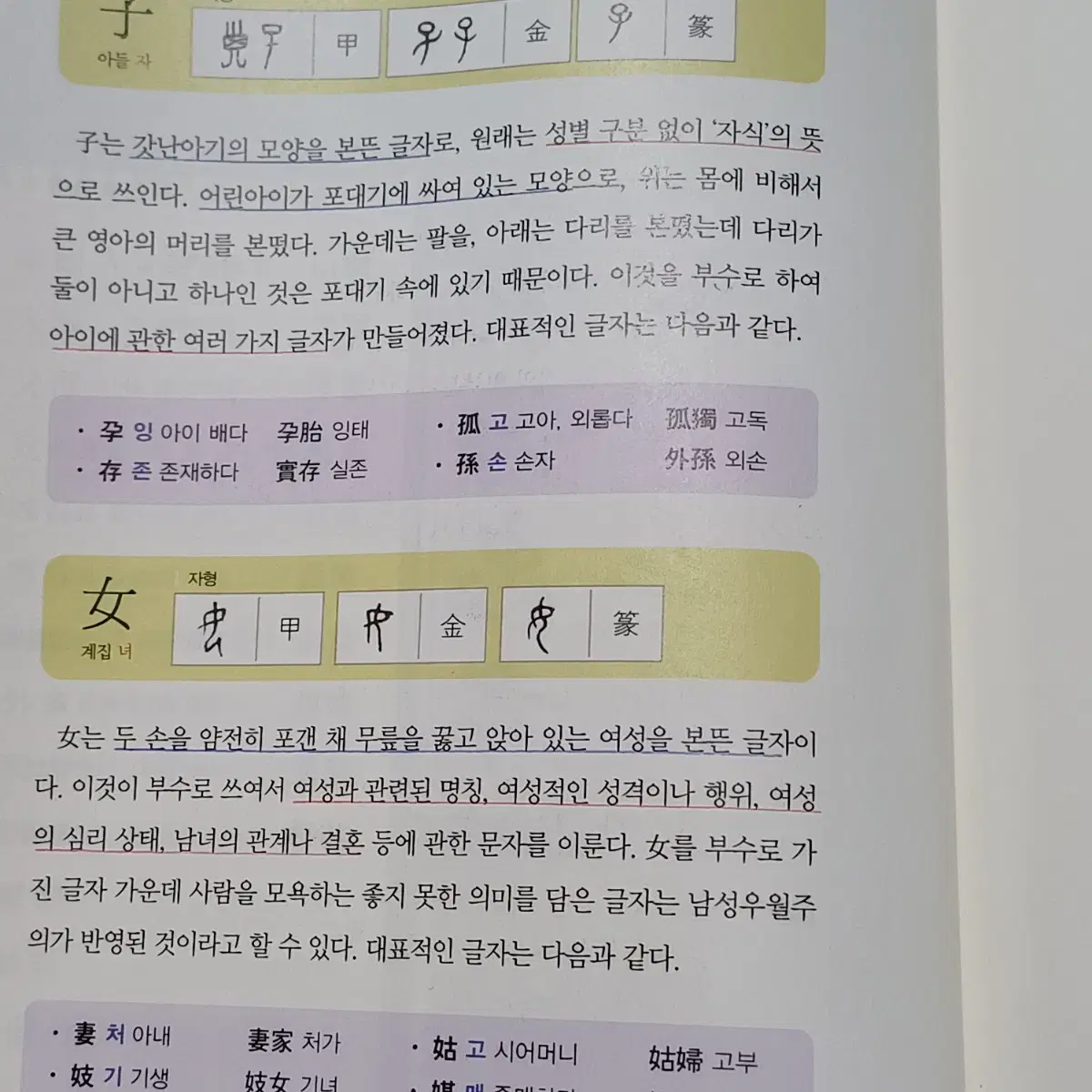 살아있는 생활한자