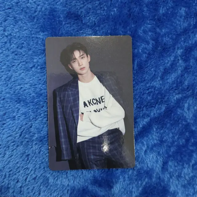 세븐틴 도겸 2021 Holiday Collection 리틀위시스 포카