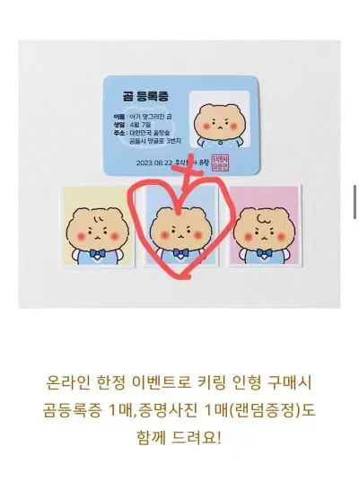 망그러진 곰 곰 등록증+증사 1장