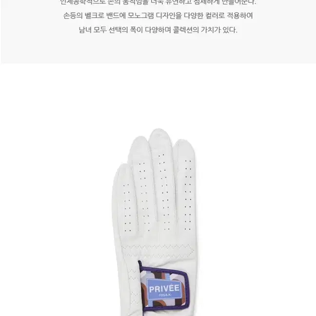 로사케이 골프 왼손 장갑 19호