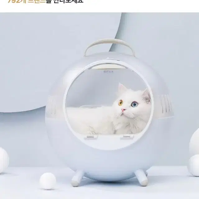 딩동펫 반려동물 냥냥이 동글이 이동가방 (화이트)