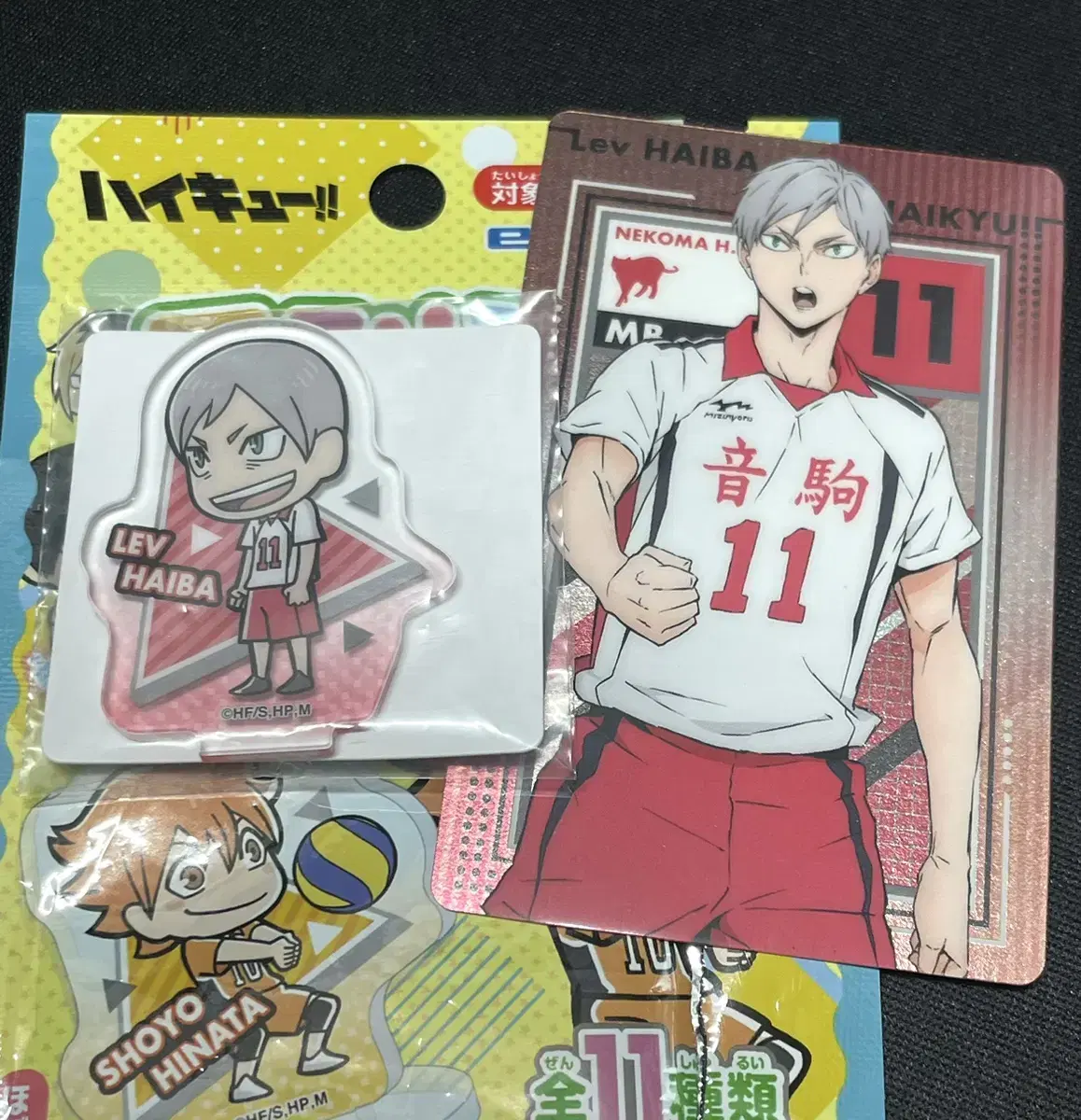 Haikyuu Lief acrylic Stand & Tray Set