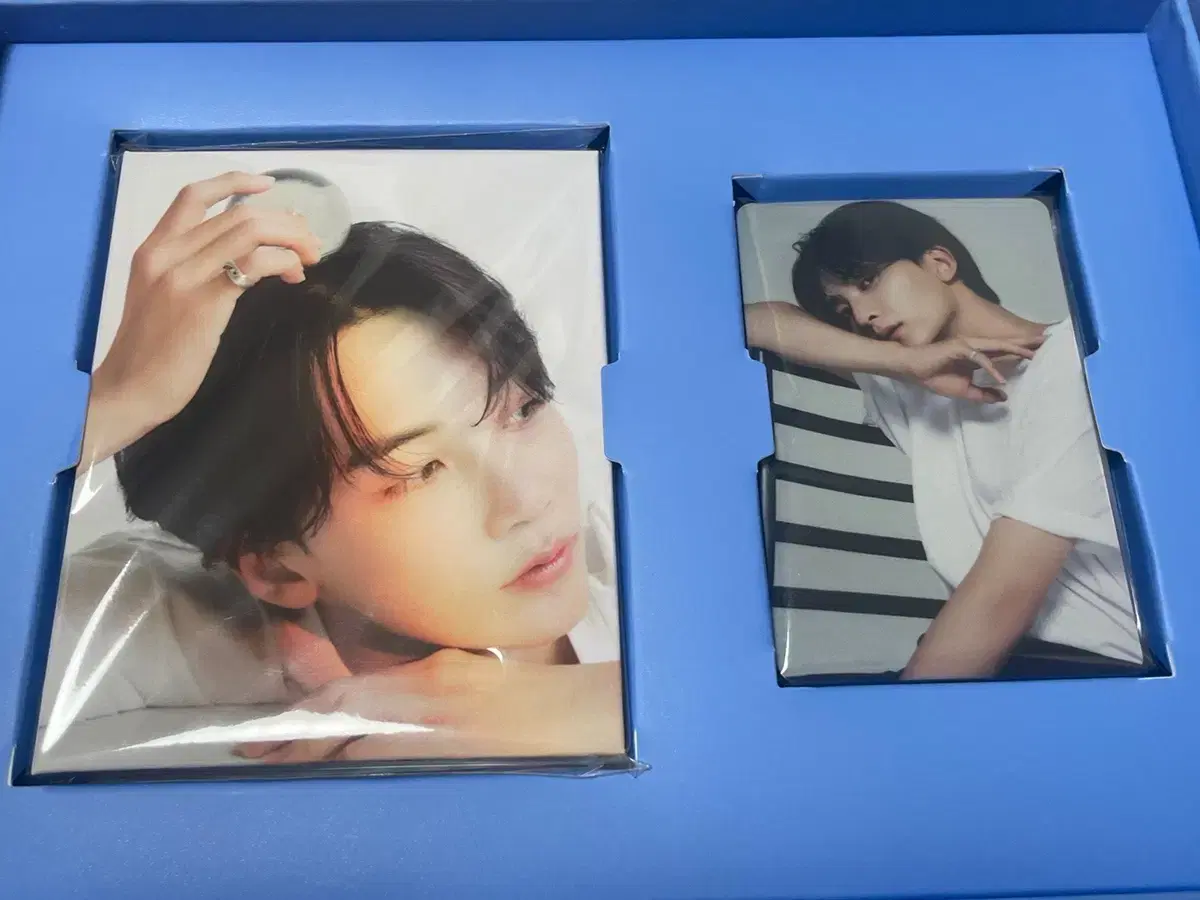 Divergent Carat Vahn jeonghan WTS