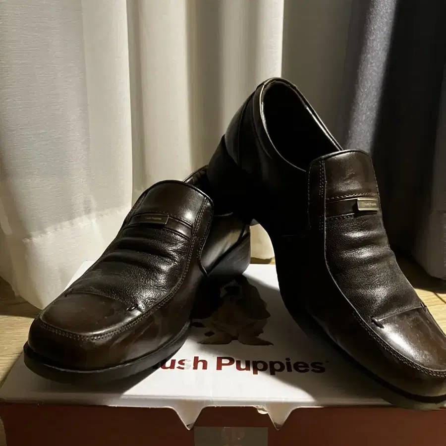 허쉬 퍼피스 hush Puppies 구두 판매합니다!!