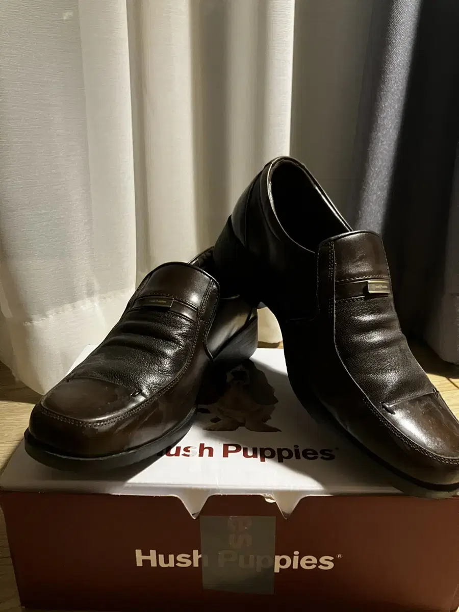 허쉬 퍼피스 hush Puppies 구두 판매합니다!!