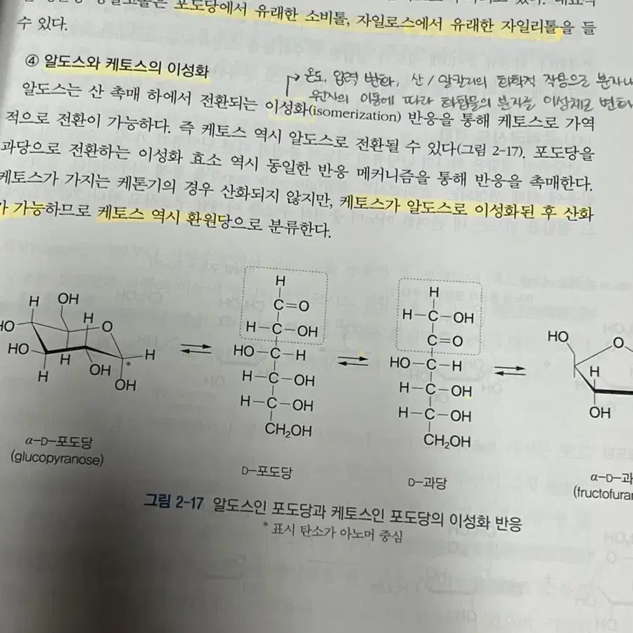 생각이 필요한 식품학개론 수학사 송경빈 등