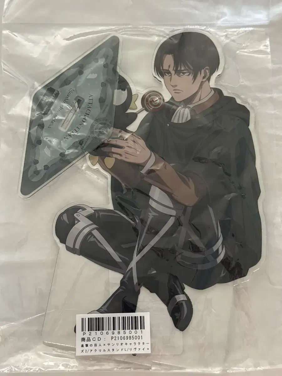 Levi Sanrio acrylic L