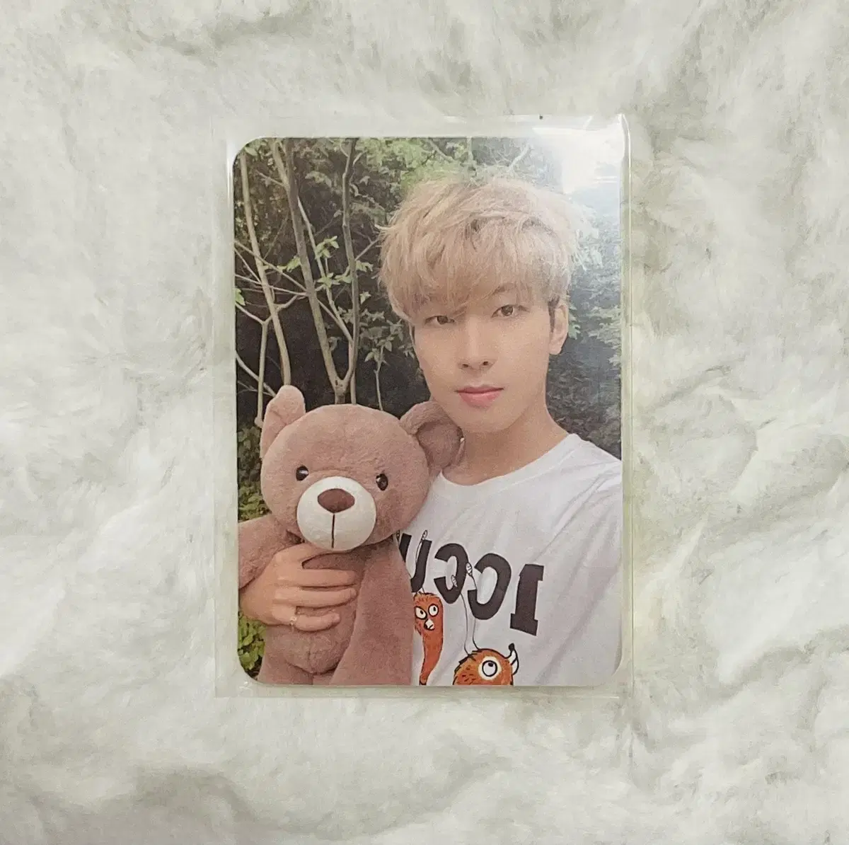 디아이콘 곰돌이wonwoo vol.12 wonwoo photocard wts