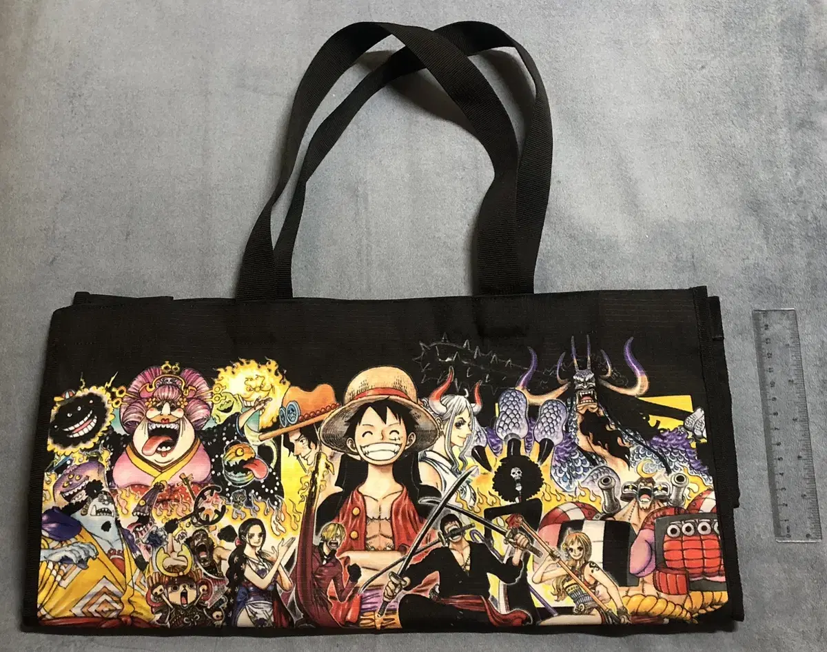 onepiece illustrated bag