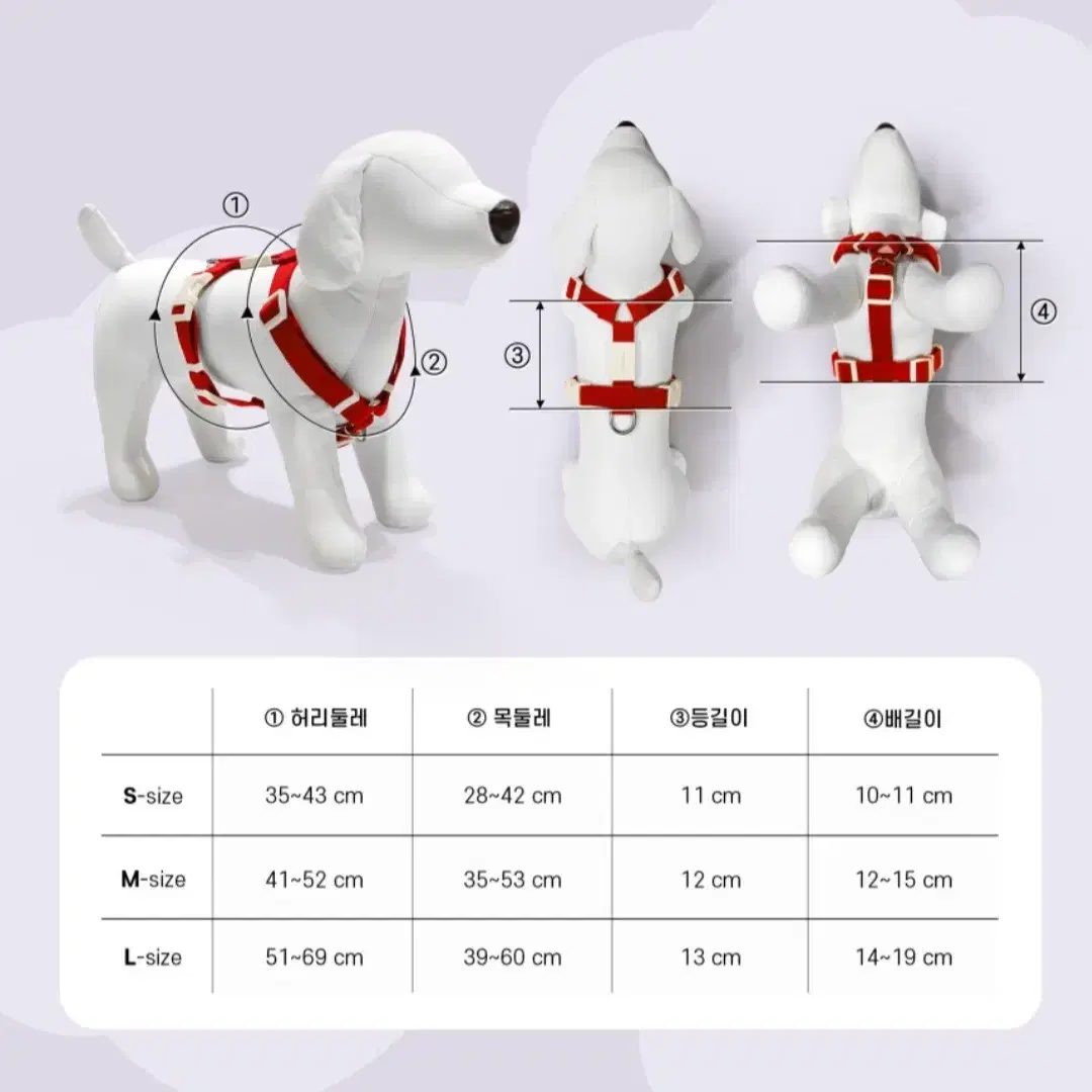 강아지 하네스 목줄 (일괄판매)