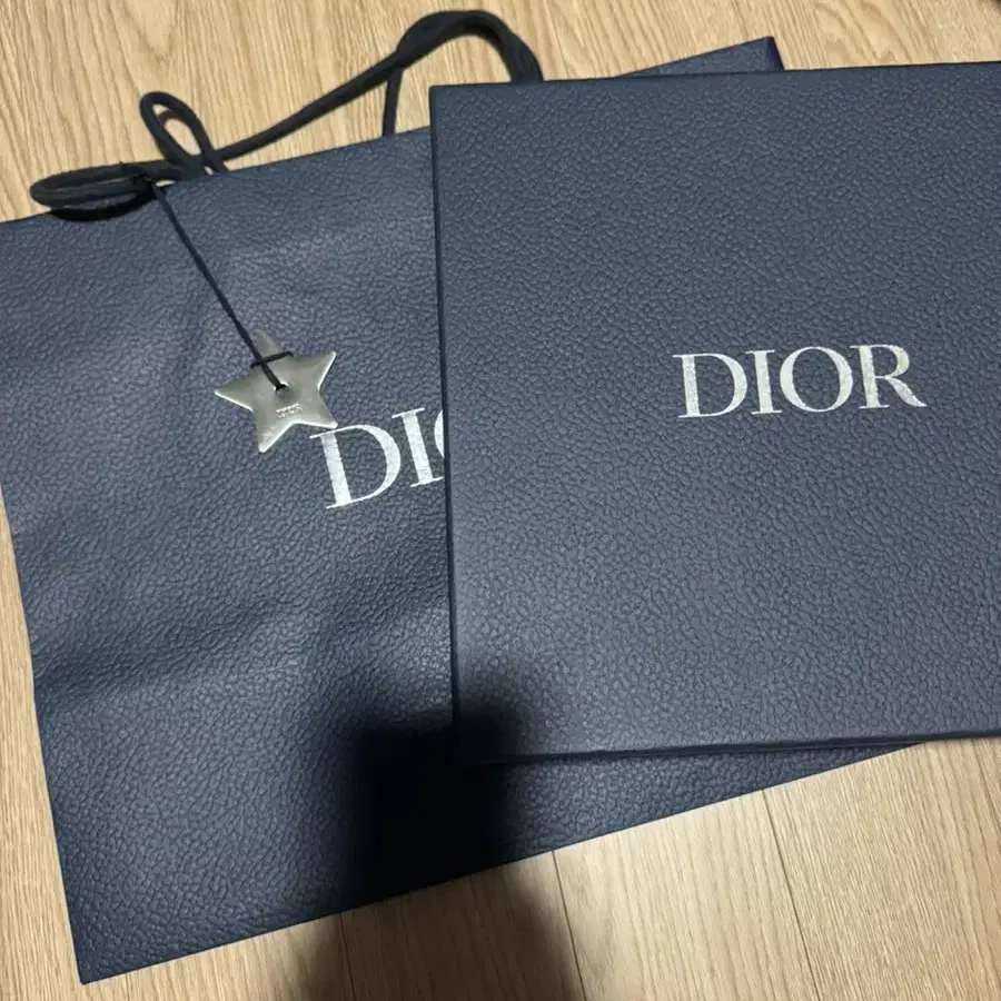 (Dior) Saddle 스트랩 버티컬 파우치  베이지 & 블랙