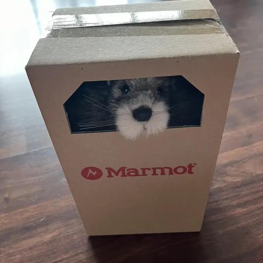 마모트 marmot 인형 마못