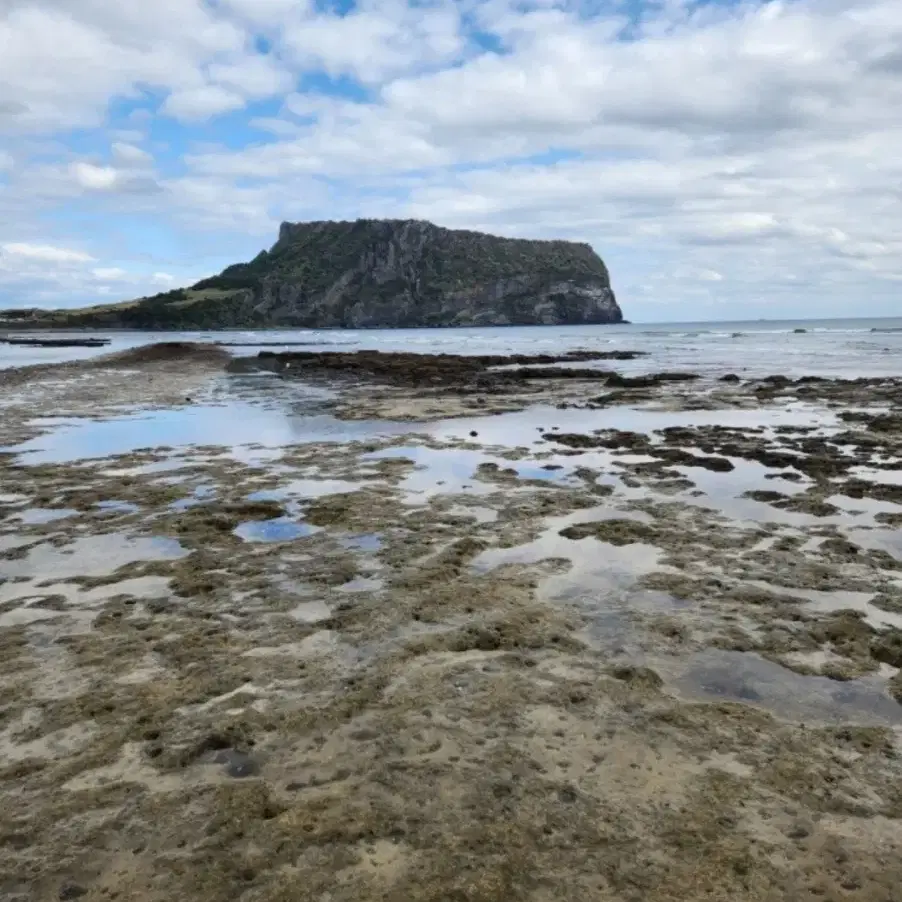 수석 평원석 "성산일출봉 쌍폭 평원경" 산수경석 자연석