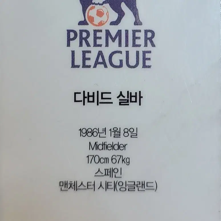 다비드실바카드&2010-2012음식점배달팜플렛&성남FC카드응원굿즈잡동사니