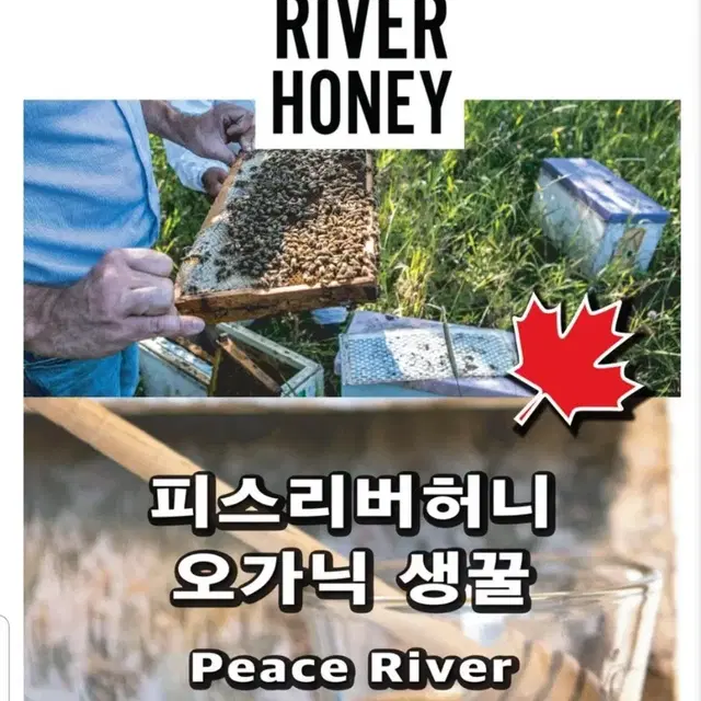 새제품) 피스리버 오가닉 꿀 (MADE IN CANADA) 캐나다 꿀