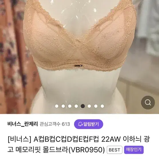 비너스 이하늬 몰드브라