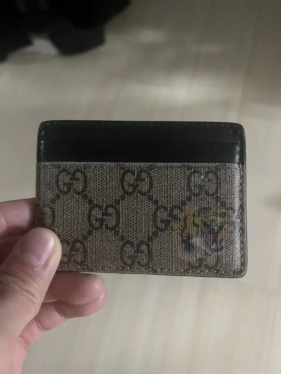 GUCCI kard wallet