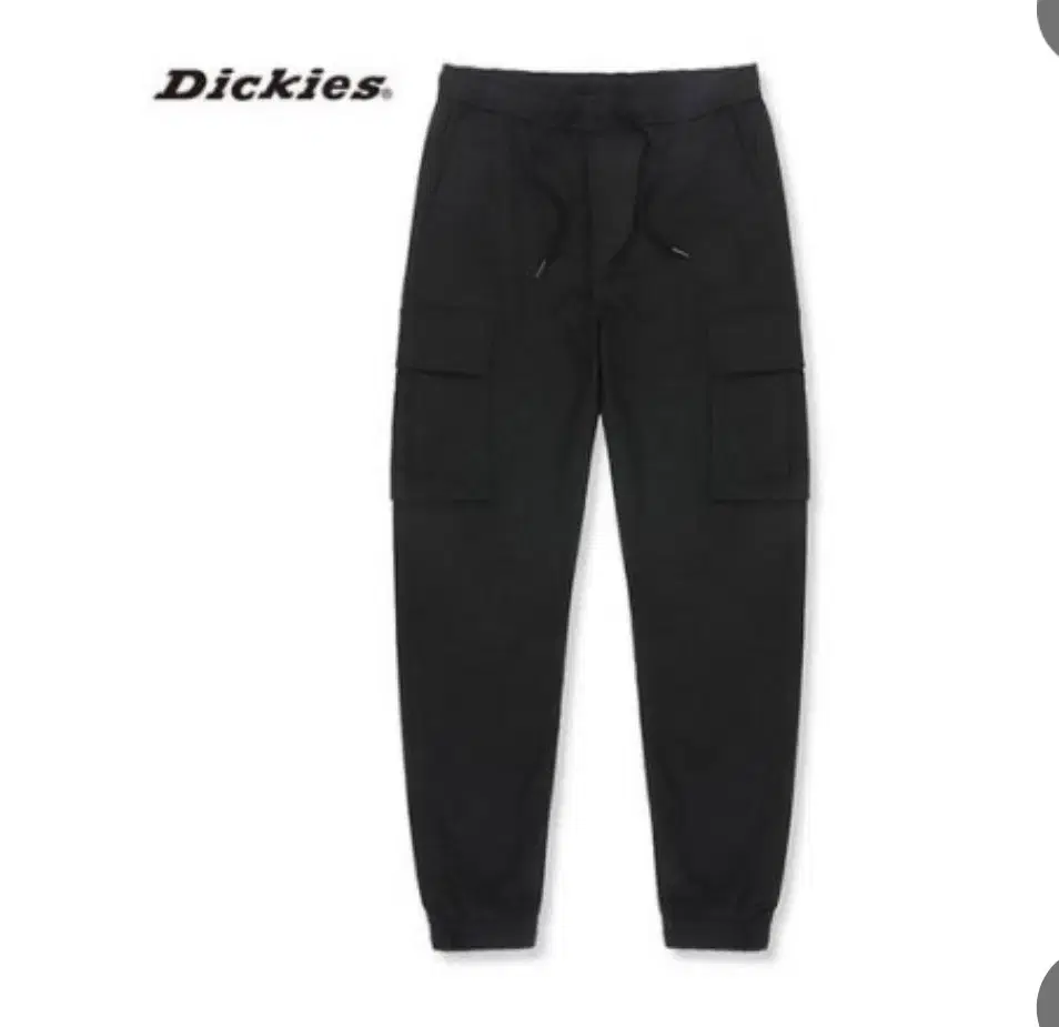 Dickies Jogger Pants 991