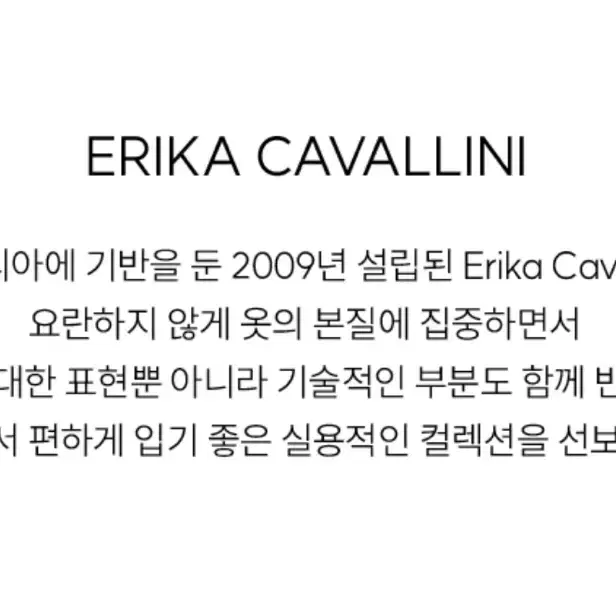 Erika Cavallini 에리카까발리니 브라운 블라우스 미착용